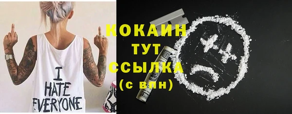 соль ск Бородино