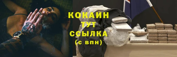соль ск Бородино