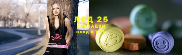 соль ск Бородино
