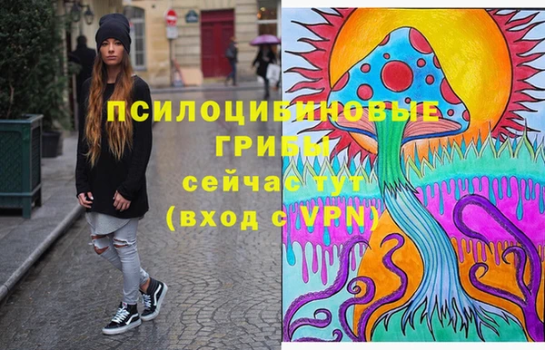 соль ск Бородино