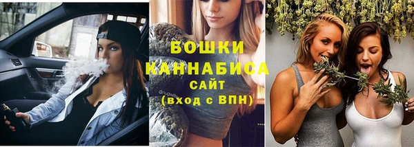 соль ск Бородино